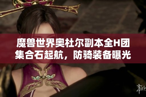 魔兽世界奥杜尔副本全H团集合石起航，防骑装备曝光引发玩家退团风波