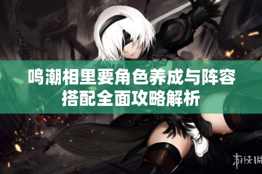 鸣潮相里要角色养成与阵容搭配全面攻略解析