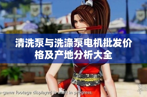 清洗泵与洗涤泵电机批发价格及产地分析大全