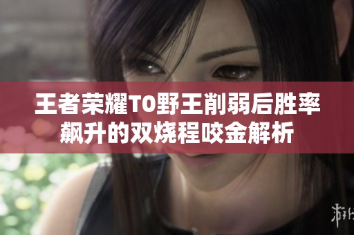 王者荣耀T0野王削弱后胜率飙升的双烧程咬金解析