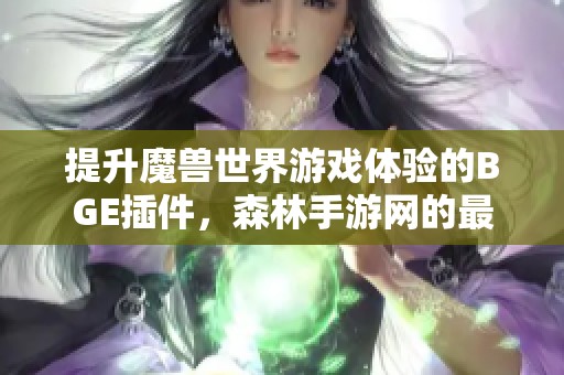 提升魔兽世界游戏体验的BGE插件，森林手游网的最佳助手