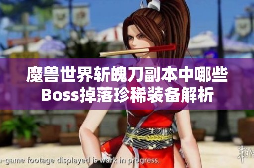 魔兽世界斩魄刀副本中哪些Boss掉落珍稀装备解析