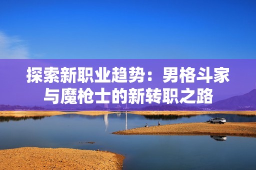 探索新职业趋势：男格斗家与魔枪士的新转职之路