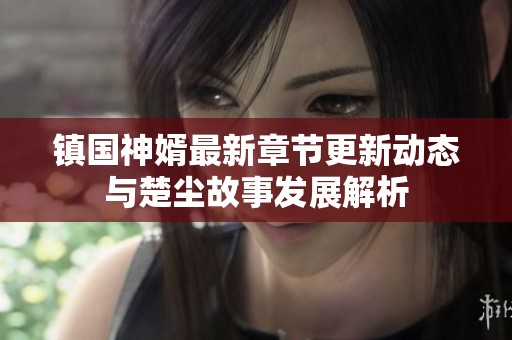 镇国神婿最新章节更新动态与楚尘故事发展解析