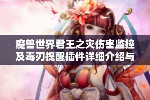 魔兽世界君王之灾伤害监控及毒刃提醒插件详细介绍与使用指南