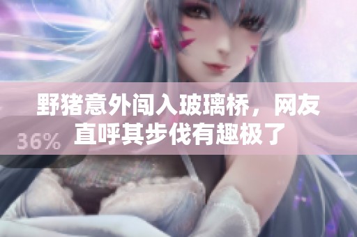 野猪意外闯入玻璃桥，网友直呼其步伐有趣极了