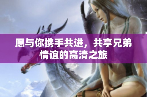 愿与你携手共进，共享兄弟情谊的高清之旅