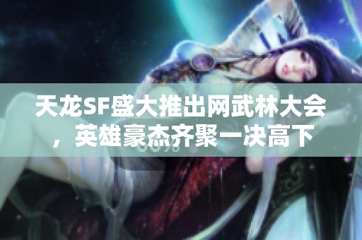 天龙SF盛大推出网武林大会，英雄豪杰齐聚一决高下