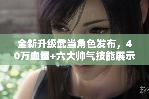 全新升级武当角色发布，40万血量+六大帅气技能展示