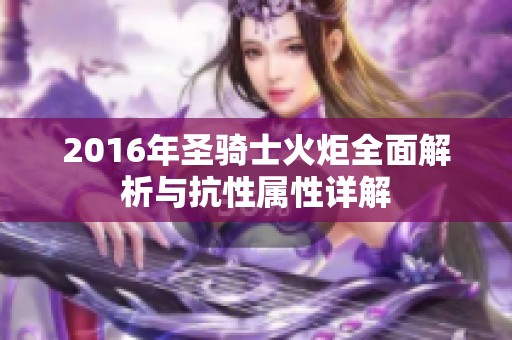 2016年圣骑士火炬全面解析与抗性属性详解