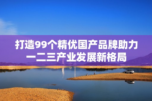 打造99个精优国产品牌助力一二三产业发展新格局
