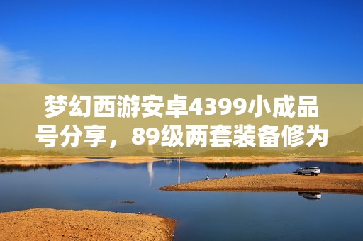 梦幻西游安卓4399小成品号分享，89级两套装备修为近满状态