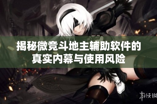 揭秘微竞斗地主辅助软件的真实内幕与使用风险
