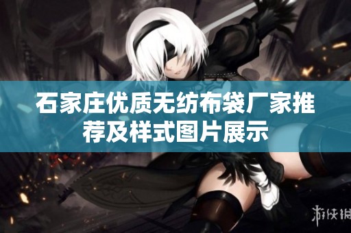 石家庄优质无纺布袋厂家推荐及样式图片展示