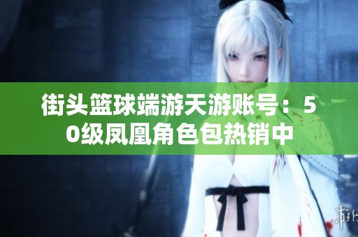 街头篮球端游天游账号：50级凤凰角色包热销中