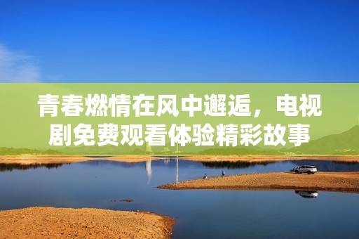 青春燃情在风中邂逅，电视剧免费观看体验精彩故事