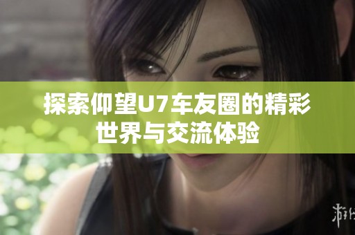 探索仰望U7车友圈的精彩世界与交流体验