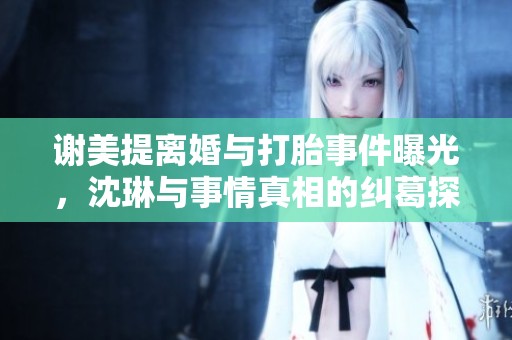 谢美提离婚与打胎事件曝光，沈琳与事情真相的纠葛探讨