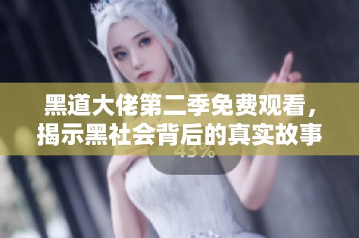 黑道大佬第二季免费观看，揭示黑社会背后的真实故事
