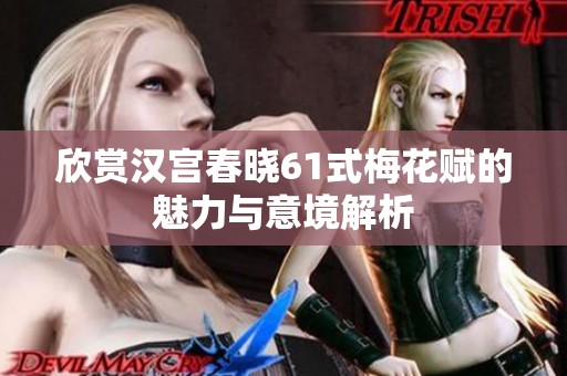 欣赏汉宫春晓61式梅花赋的魅力与意境解析