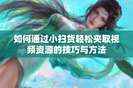 如何通过小扫货轻松夹取视频资源的技巧与方法