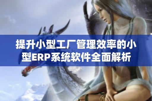 提升小型工厂管理效率的小型ERP系统软件全面解析