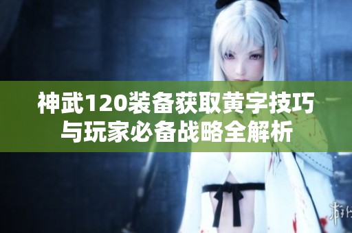 神武120装备获取黄字技巧与玩家必备战略全解析