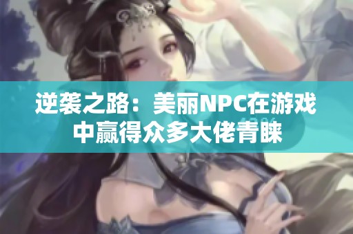 逆袭之路：美丽NPC在游戏中赢得众多大佬青睐