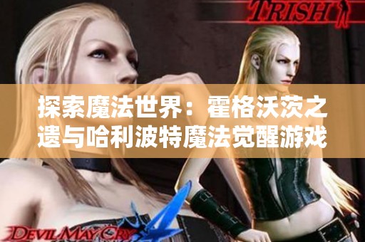 探索魔法世界：霍格沃茨之遗与哈利波特魔法觉醒游戏指南