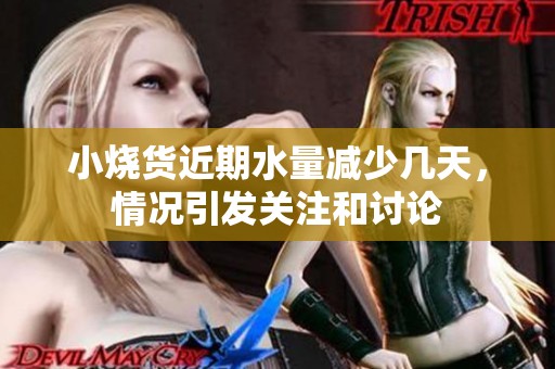 小烧货近期水量减少几天，情况引发关注和讨论