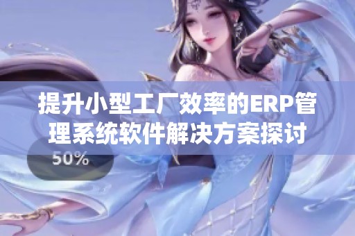 提升小型工厂效率的ERP管理系统软件解决方案探讨