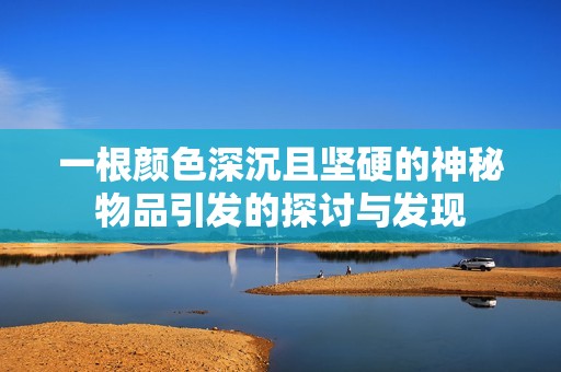 一根颜色深沉且坚硬的神秘物品引发的探讨与发现