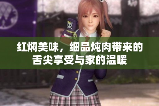 红焖美味，细品炖肉带来的舌尖享受与家的温暖
