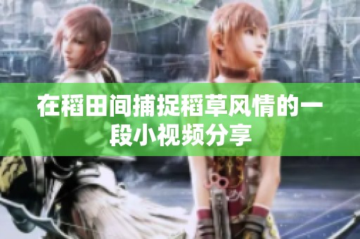 在稻田间捕捉稻草风情的一段小视频分享