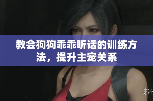 教会狗狗乖乖听话的训练方法，提升主宠关系