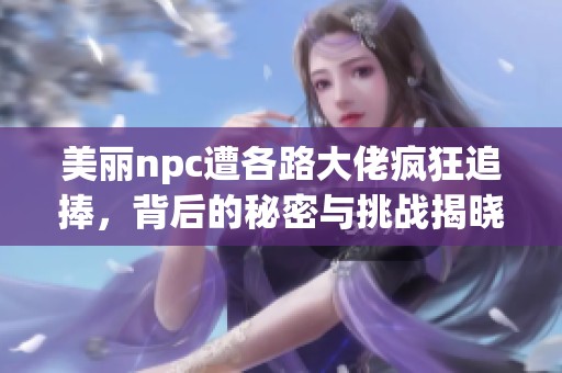美丽npc遭各路大佬疯狂追捧，背后的秘密与挑战揭晓