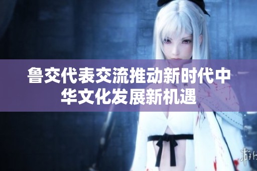 鲁交代表交流推动新时代中华文化发展新机遇