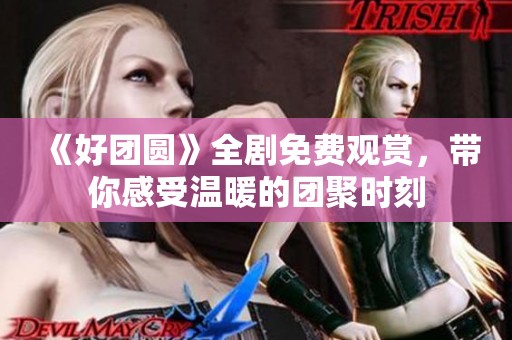 《好团圆》全剧免费观赏，带你感受温暖的团聚时刻