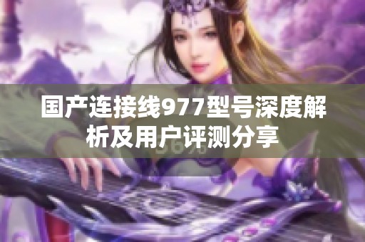 国产连接线977型号深度解析及用户评测分享