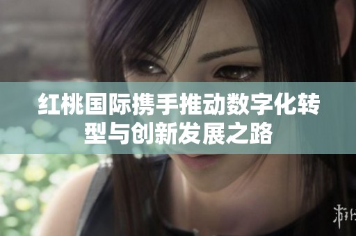 红桃国际携手推动数字化转型与创新发展之路