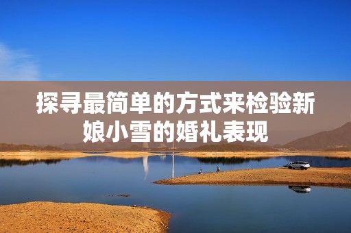 探寻最简单的方式来检验新娘小雪的婚礼表现