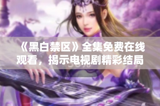 《黑白禁区》全集免费在线观看，揭示电视剧精彩结局与深刻内涵