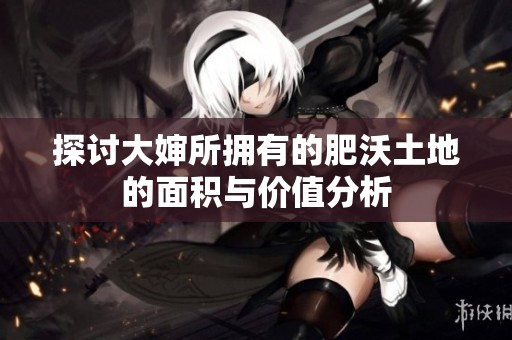 探讨大婶所拥有的肥沃土地的面积与价值分析