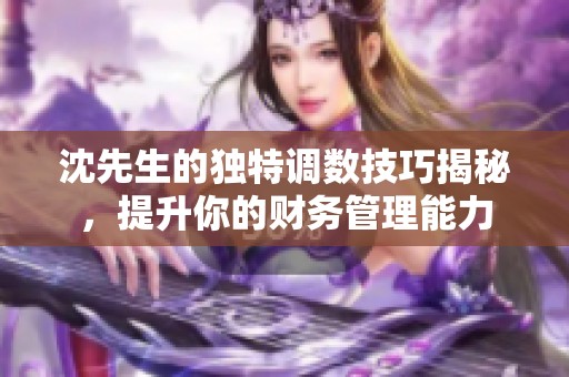 沈先生的独特调数技巧揭秘，提升你的财务管理能力
