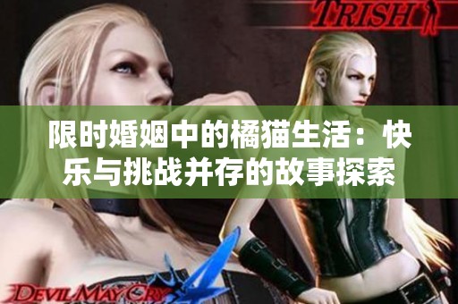 限时婚姻中的橘猫生活：快乐与挑战并存的故事探索