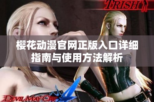 樱花动漫官网正版入口详细指南与使用方法解析