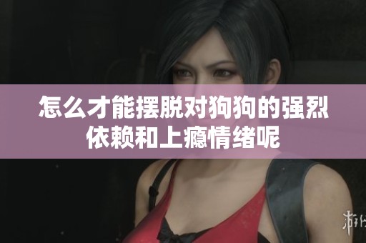 怎么才能摆脱对狗狗的强烈依赖和上瘾情绪呢
