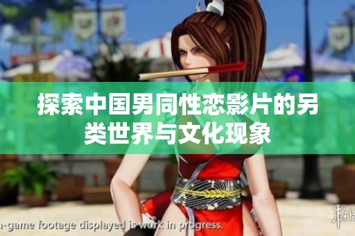 探索中国男同性恋影片的另类世界与文化现象