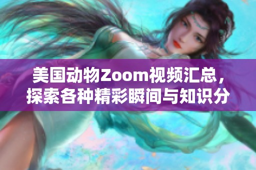 美国动物Zoom视频汇总，探索各种精彩瞬间与知识分享