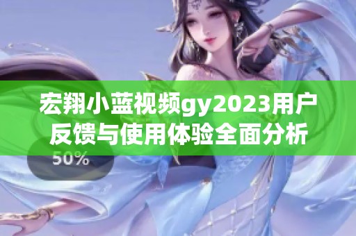 宏翔小蓝视频gy2023用户反馈与使用体验全面分析